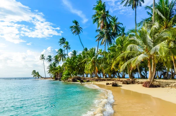 Spiaggia Solitaria Nell Isola San Blas Kuna Yala Panama — Foto Stock