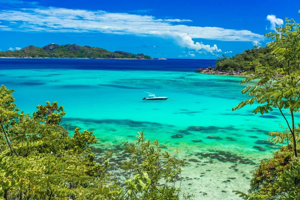 Yacht Paradise Bay Praslin Seychellerna — Stockfoto