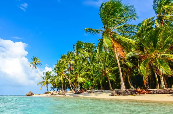 Lonely Beach San Blas Island Kuna Yala Panama — Stock fotografie