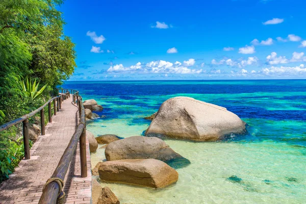 Eenzaam Pad Aan Paradijs Kust — Stockfoto