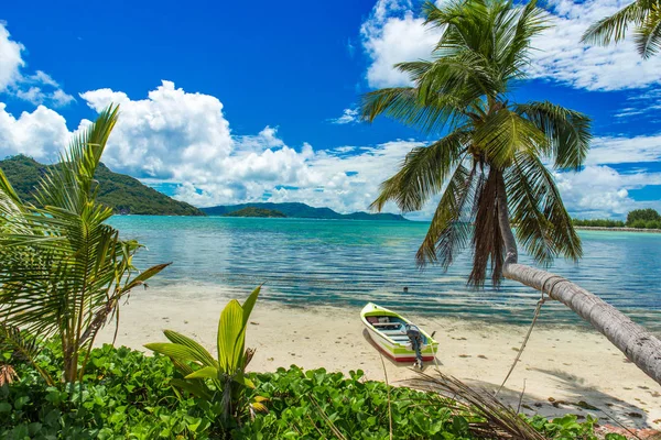 Mooi Strand Eiland Praslin Seychellen — Stockfoto