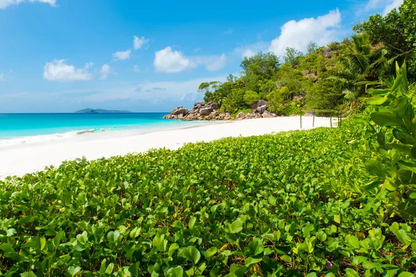 Playa Paraíso Playa Anse Georgette Praslin Seychelles —  Fotos de Stock