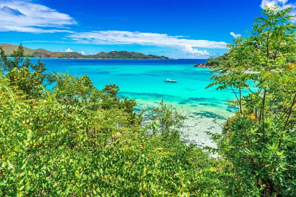 Yacht Paradise Bay Praslin Seychellerna — Stockfoto