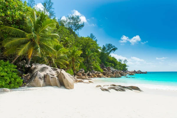 Cennet Plaj Anse Georgette Praslin Seyşel Adaları — Stok fotoğraf