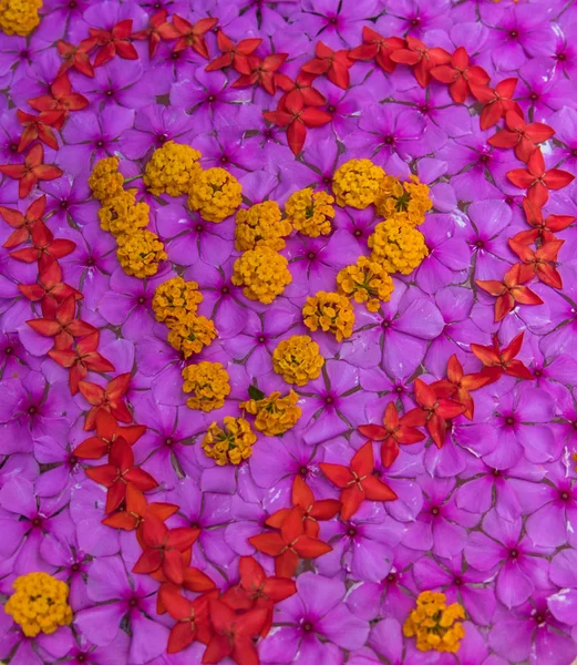 Yellow Pink Flowers Shape Heart — Stock Photo, Image