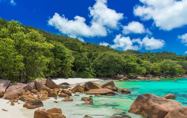 Anse Lazio Παράδεισος Παραλία Λευκή Άμμο Τιρκουάζ Νερά Πλούσια Καταπράσινα — Φωτογραφία Αρχείου