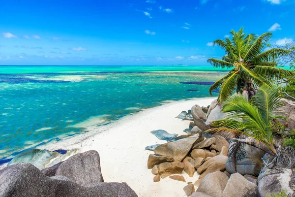 Vacker Strand Praslin Seychellerna — Stockfoto