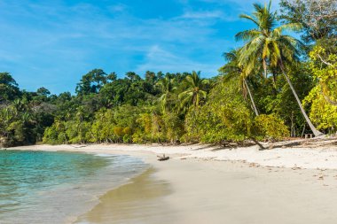 Manuel Antonio, Kosta Rika - güzel tropikal plaj
