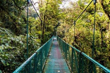 Cloudforest - Kosta Rika Bridge'de asılı