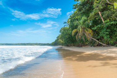 Cahuita - Nationalpark güzel plajları ve Kosta Rika yağmur ormanları ile