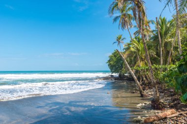 Playa Negra - siyah kumsalda Cahuita, Limon - Kosta Rika - tropikal ve Karayip sahilinde paradise plajları