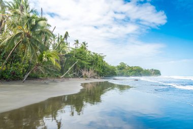 Playa Negra - siyah kumsalda Cahuita, Limon - Kosta Rika - tropikal ve Karayip sahilinde paradise plajları