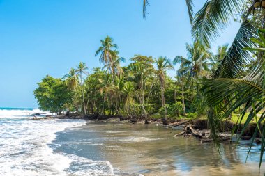 Playa Negra - siyah kumsalda Cahuita, Limon - Kosta Rika - tropikal ve Karayip sahilinde paradise plajları