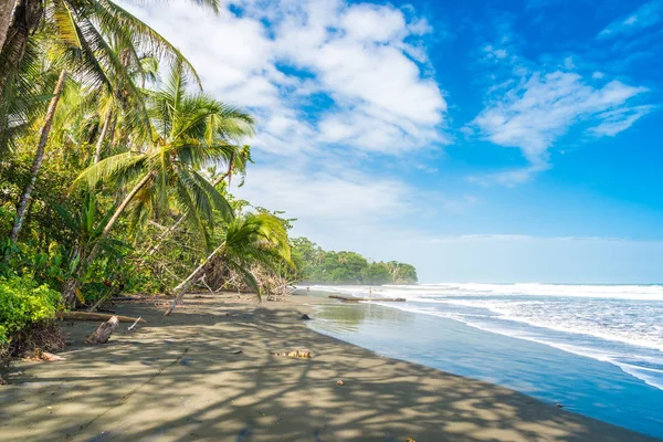 Playa Negra Praia Negra Cahuita Limon Costa Rica Praias Tropicais — Fotografia de Stock