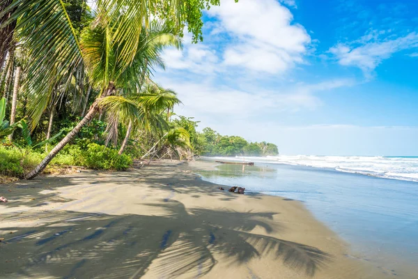 Πλάγια Negra Μαύρη Παραλία Τον Προορισμό Cahuita Limon Κόστα Ρίκα — Φωτογραφία Αρχείου