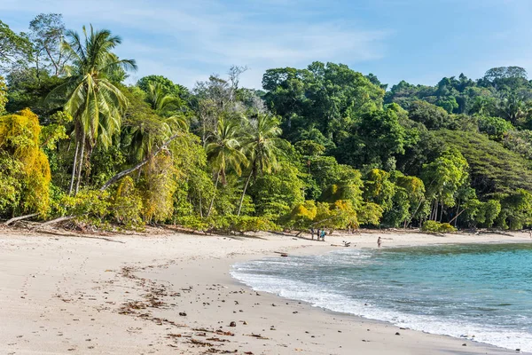 Manuel Antonio Costa Rica Hermosa Playa Tropical —  Fotos de Stock