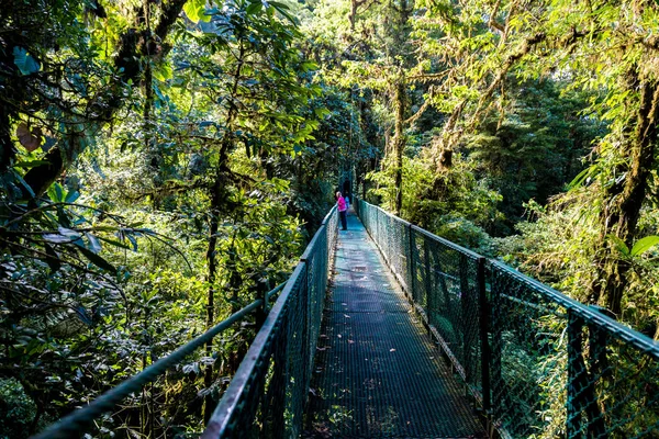 Puente Colgante Bosque Nuboso Costa Rica — Foto de Stock