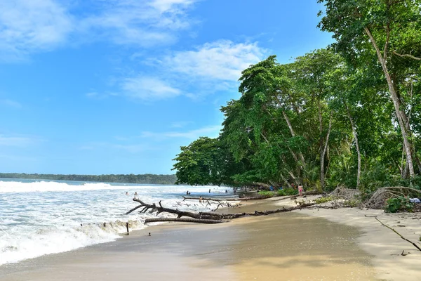 Cahuita Nationalpark Прекрасними Пляжами Тропічних Лісів Коста Ріці — стокове фото