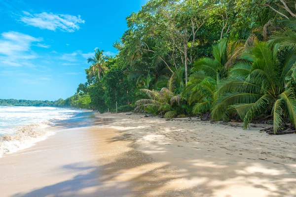 Cahuita Nationalpark Beautiful Beaches Rainforest Costa Rica — Stock Photo, Image