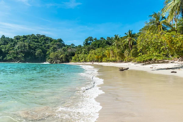 Manuel Antonio Kosta Rika Güzel Tropikal Plaj — Stok fotoğraf