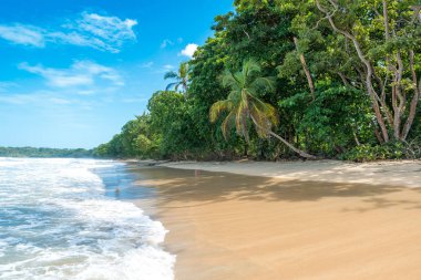 Cahuita - Nationalpark güzel plajları ve Kosta Rika yağmur ormanları ile