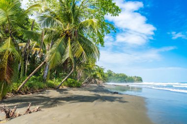 Playa Negra - siyah kumsalda Cahuita, Limon - Kosta Rika - tropikal ve Karayip sahilinde paradise plajları