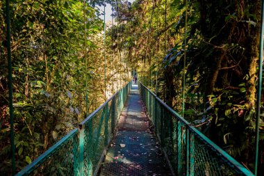 Cloudforest - Kosta Rika Bridge'de asılı