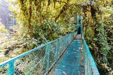 Cloudforest - Kosta Rika Bridge'de asılı