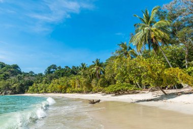 Manuel Antonio, Kosta Rika - güzel tropikal plaj