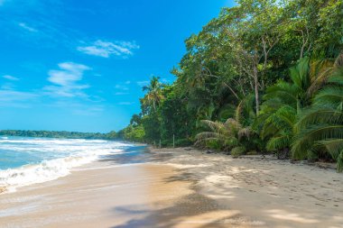 Cahuita - Nationalpark güzel plajları ve Kosta Rika yağmur ormanları ile