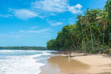 Cahuita - Nationalpark güzel plajları ve Kosta Rika yağmur ormanları ile
