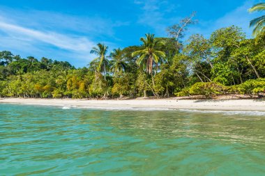 Manuel Antonio, Kosta Rika - güzel tropikal plaj