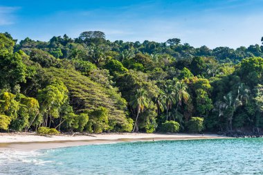Manuel Antonio, Kosta Rika - güzel tropikal plaj