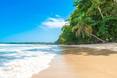 Cahuita - Nationalpark güzel plajları ve Kosta Rika yağmur ormanları ile