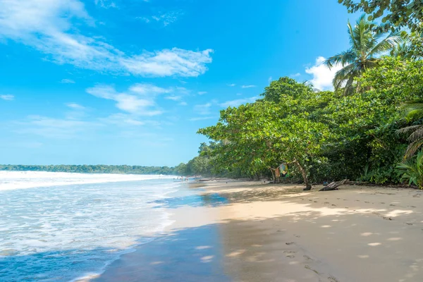 Cahuita Parque Nacional Con Hermosas Playas Selva Tropical Costa Rica — Foto de Stock