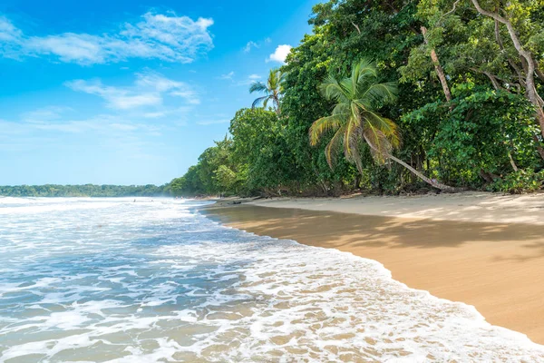 Cahuita Nationalpark Beautiful Beaches Rainforest Costa Rica — Stock Photo, Image