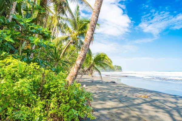 Playa Negra Černou Pláž Cahuita Limon Kostarika Tropické Pláže Paradise — Stock fotografie