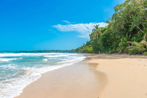 Cahuita Parque Nacional Con Hermosas Playas Selva Tropical Costa Rica —  Fotos de Stock