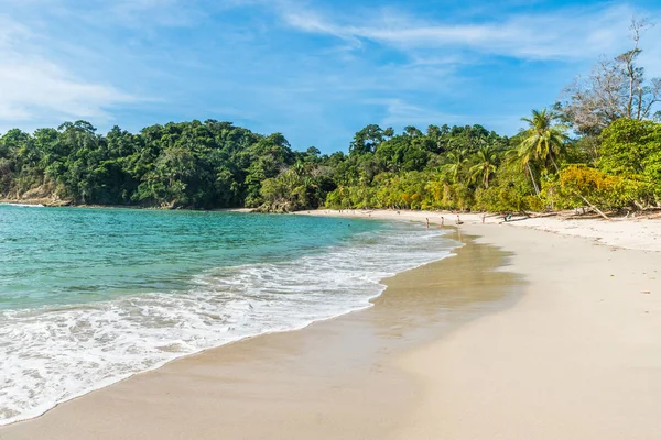 Manuel Antonio Kosta Rika Güzel Tropikal Plaj — Stok fotoğraf