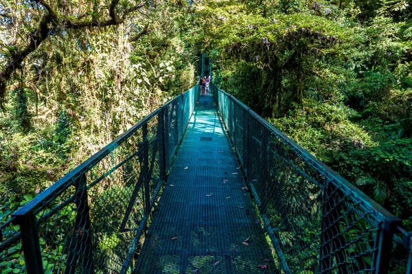 Puente Colgante Bosque Nuboso Costa Rica —  Fotos de Stock
