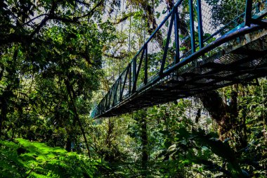 Cloudforest, Monteverde, Kosta Rika Bridge'de asılı.