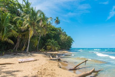 Playa Chiquita - vahşi beach yakın Puerto Viejo, Kosta Rika.