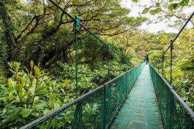 Cloudforest, Monteverde, Kosta Rika Bridge'de asılı.