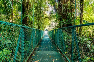 Cloudforest, Monteverde, Kosta Rika Bridge'de asılı.