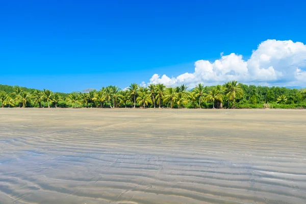 Park Narodowy Ballena Marino Plaży Tropikalnych Lasów Punta Uvita Costa — Zdjęcie stockowe