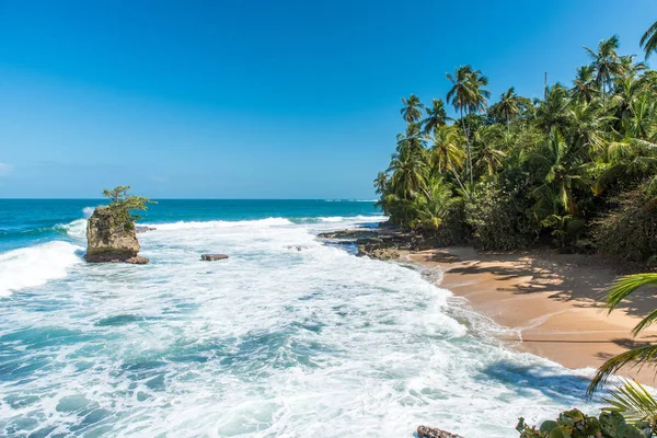 Playa Caribeña Salvaje Manzanillo Puerto Viejo Costa Rica —  Fotos de Stock