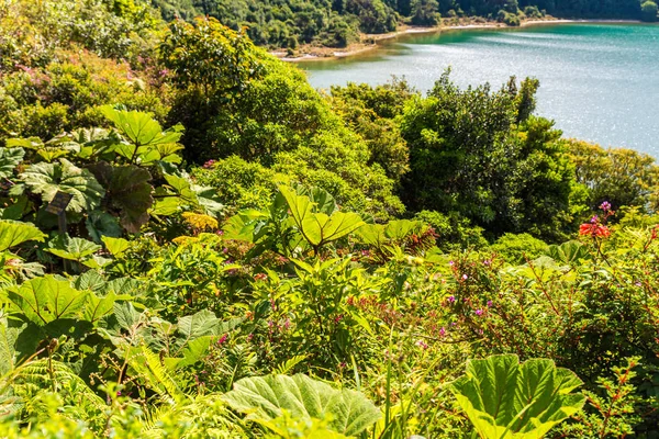 Lago Botos Vulcano Poas Kostarice — Stock fotografie