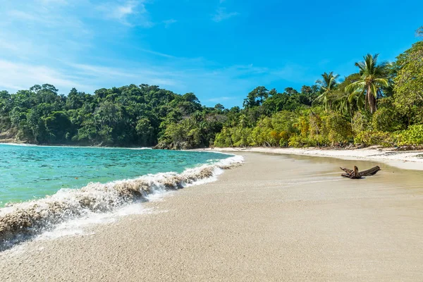 Tropikalnej Plaży Manuel Antonio National Park Costa Rica — Zdjęcie stockowe