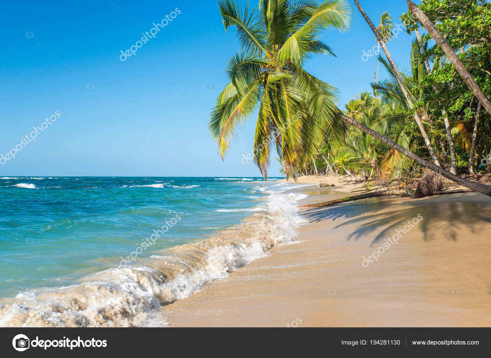 Plage Punta Uva Costa Rica Avec Sauvage Côte Caraïbe