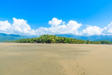 Marino Ballena Milli Parkı plaj ve tropikal orman içinde Punta Uvita, Kosta Rika ile.